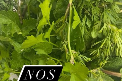 Ensemble - Bien Manger - Petits Plats & Gourmandises