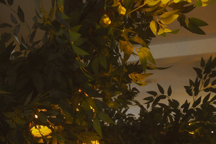 Le Repère de Merlin