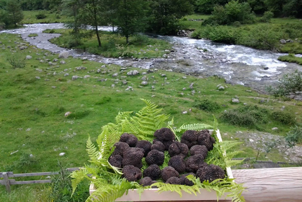 La Maison Du Valier SARL
