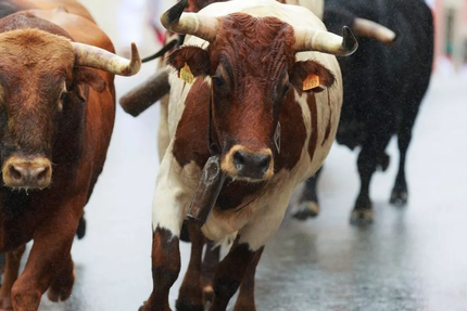 Restaurant Le San Fermin