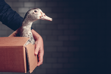 Restaurant Lucien Doriath - La Table du Domaine - Alsace
