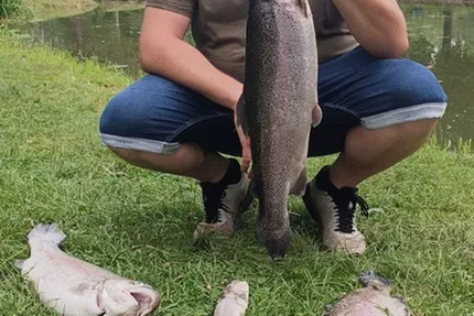 Les étangs du Moulin Rollequin