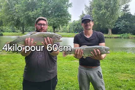 Les étangs du Moulin Rollequin