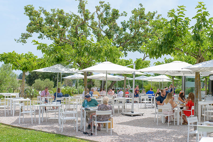 La TABLE des OLIVIERS