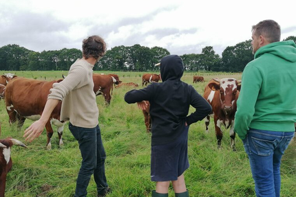 TANDEM Restaurant/Bistrot à Vin/Cave