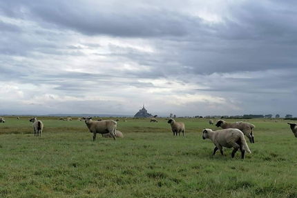 TANDEM Restaurant/Bistrot à Vin/Cave