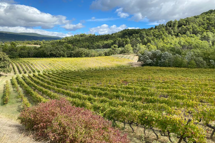 La Table du Domaine Perréal