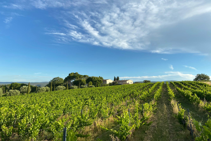 La Table du Domaine Perréal