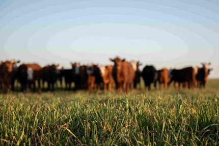 231 East Street Clermont-L'Hérault