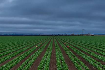 231 East Street Clermont-L'Hérault