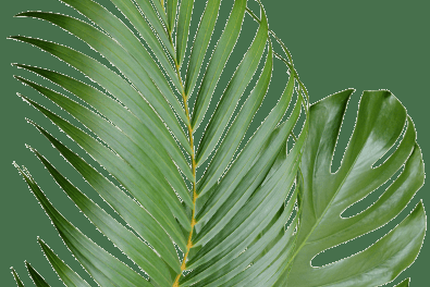 Rodizio Brazil - Colombes