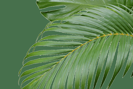 Rodizio Brazil - Colombes