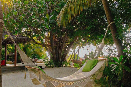 Pokeya Auch - Hawaiian Poke Bowls