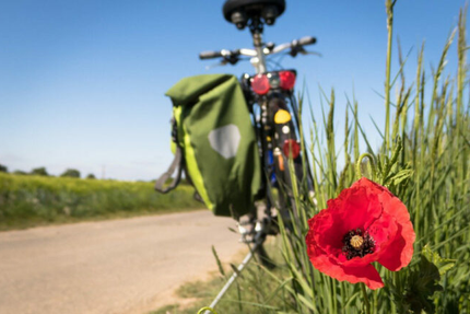 La Guinguette - Bar et Restaurant