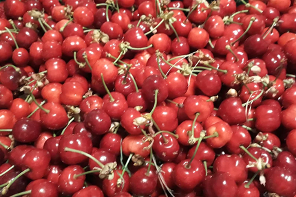 La rose douce snack chavade bel air