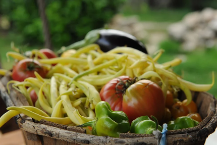 La rose douce snack chavade bel air
