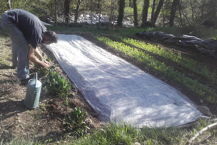 La rose douce snack chavade bel air