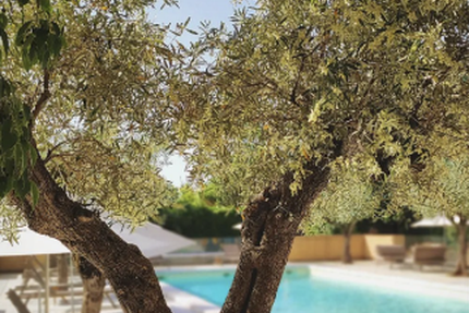 De Lauzun : Hôtel et Restaurant Gastronomique à Pézenas