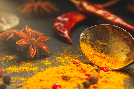 Le Punjab Rambouillet