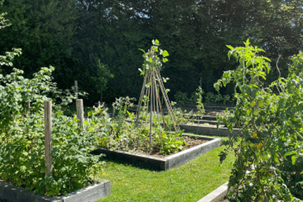 Restaurant Maison Zugno