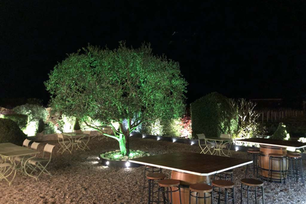 Les Marronniers de Montagne