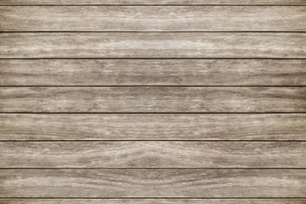 Pizzeria-Léguevin Why Not