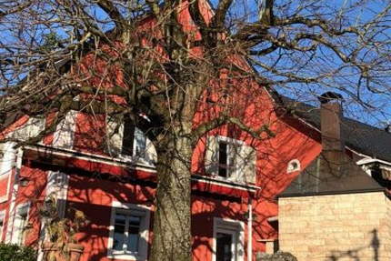 Restaurant A L Aigle