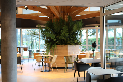 Bar restaurant Albert's Place