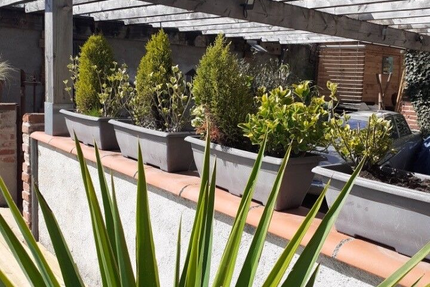 Le moulin épicurius