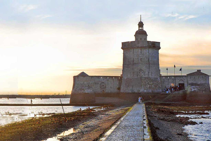 BOUTIQUE & BAR À HUITRES COCOLLOS