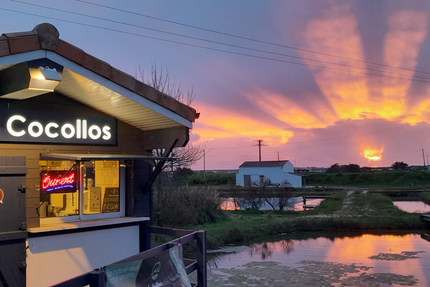 BOUTIQUE & BAR À HUITRES COCOLLOS