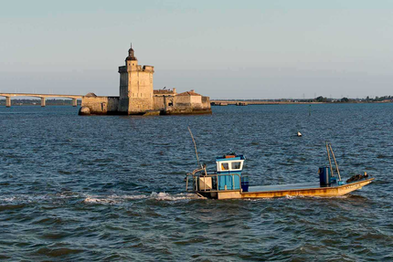 BOUTIQUE & BAR À HUITRES COCOLLOS