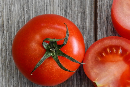 OH FADA - MONTOURNAIS