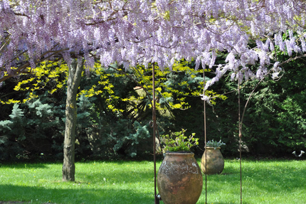 L'Auberge des Tuileries