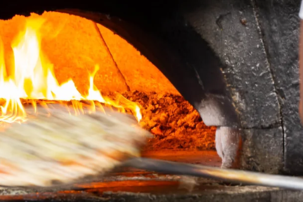 Pizza Puce Tassin La Demi-Lune