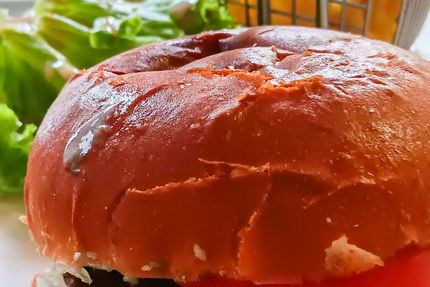 Hotel Restaurant Le Palous