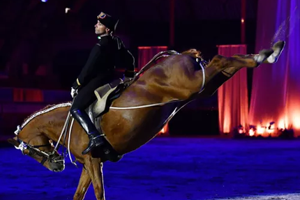Le Relais Du Château (face au château)