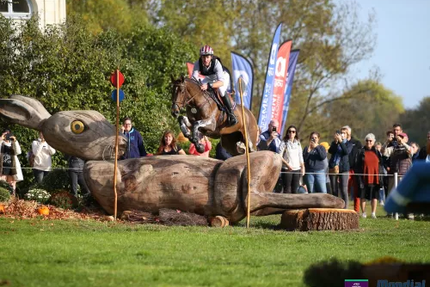 Le Relais Du Château (face au château)