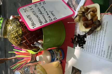 Grillades/Alassane Sylla