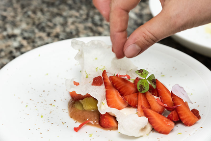 Le Florida Gascony - Restaurant raffiné - Auberge contemporaine