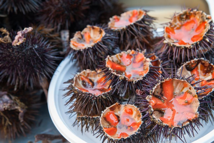 Fada Bike Café, Tours & Rentals