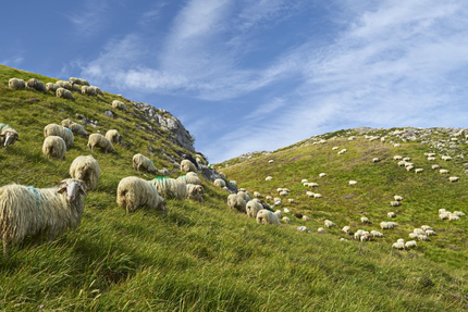 Restaurant La grange