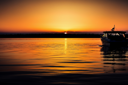 La Table d'Olivier (Brasserie des argousiers)
