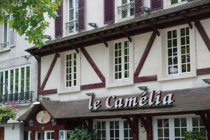 Le Camélia
