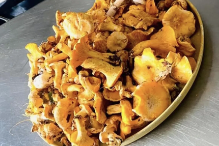 Le Relais des Forges