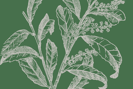 Le Domaine de Rombeau