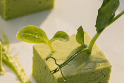 Loma Restaurant bistronomique Quartier Saint Nicolas