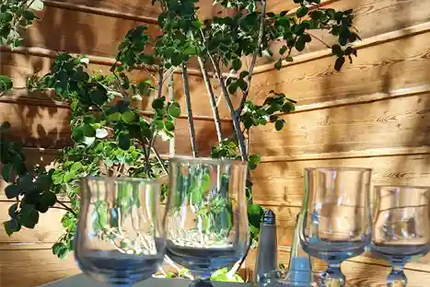 Pizzeria Le Fournil Mons