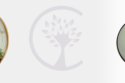 Restaurant Central Park