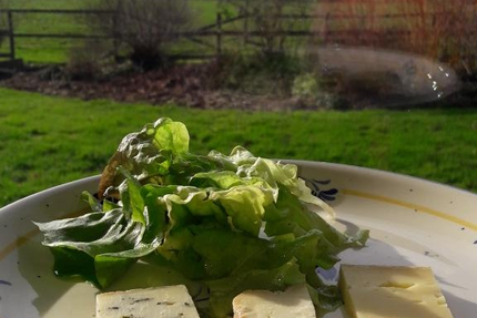 Auberge du Noordmeulen